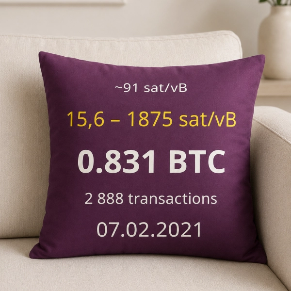 Coussin "Bloc Bitcoin"